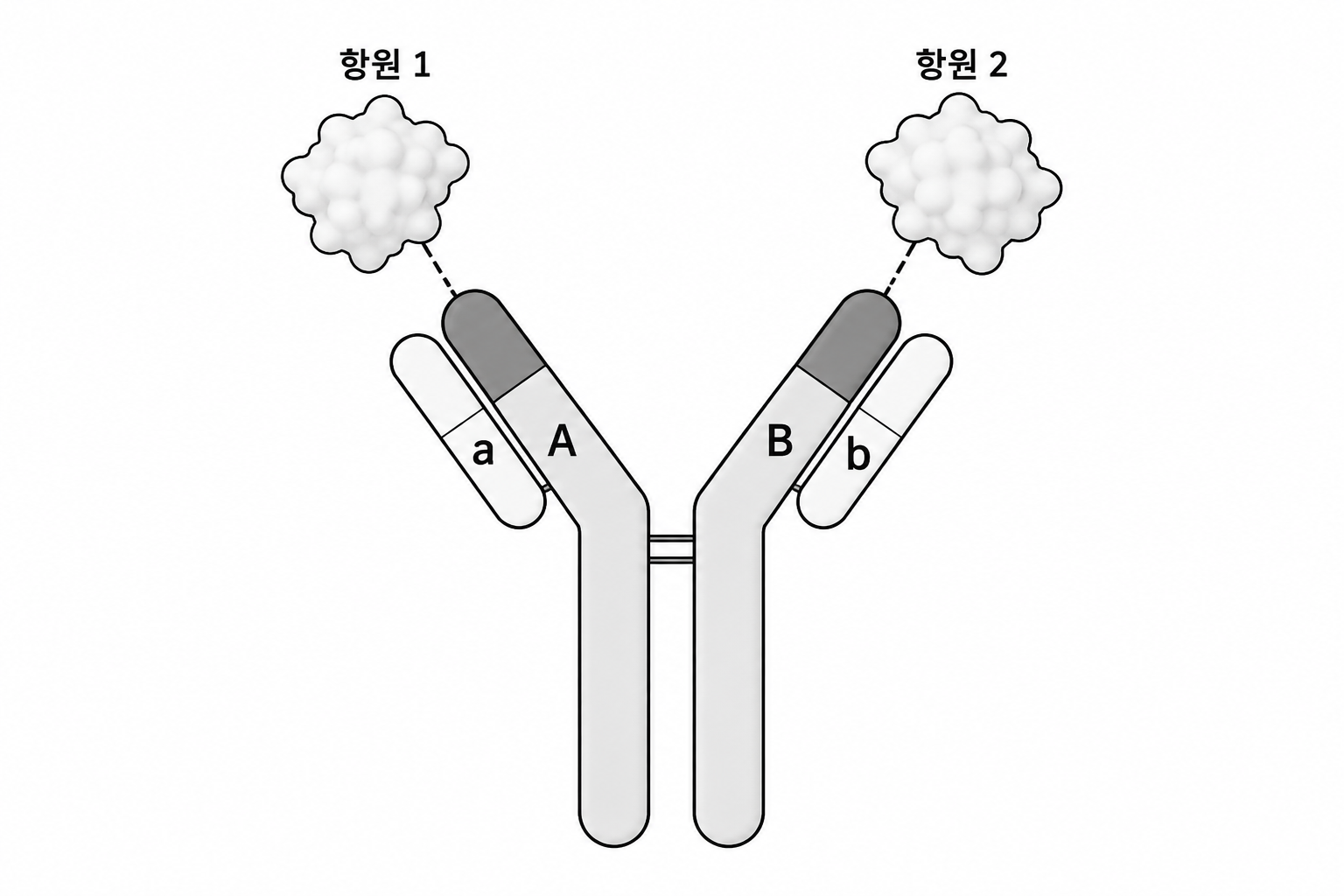 [대수] 2026 래스커 임상의학상, 혈우병 A 치료 항체 에미시주맙 관련 그림 7