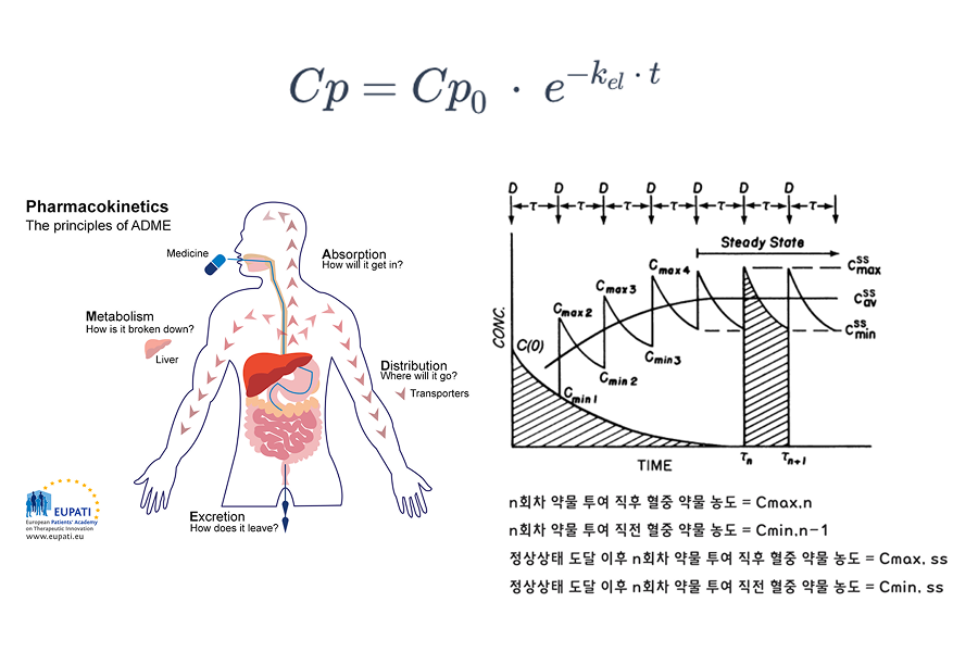 등비수열의 합과 IV bolus 다회 투여