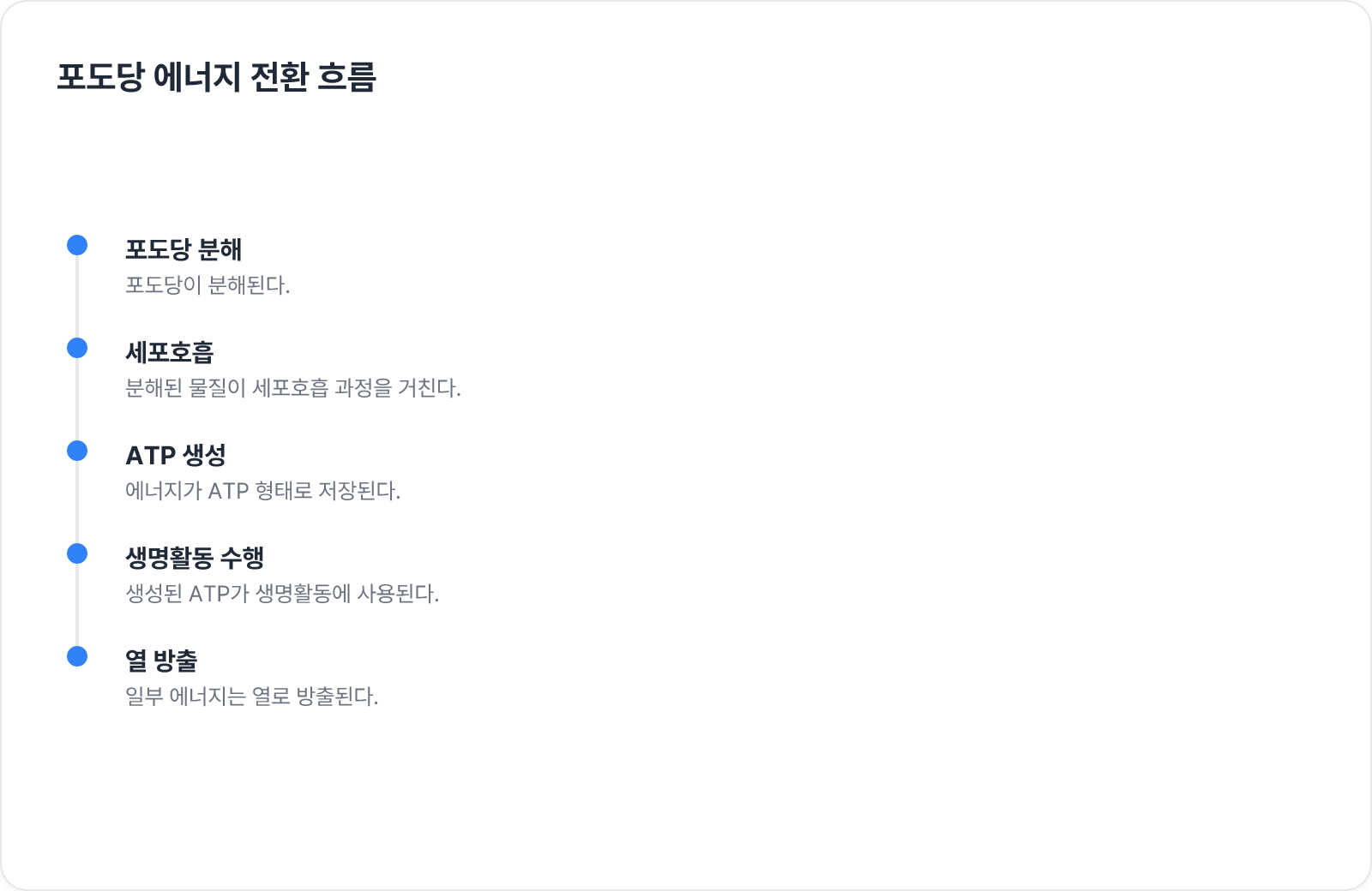 포도당 에너지 전환 흐름