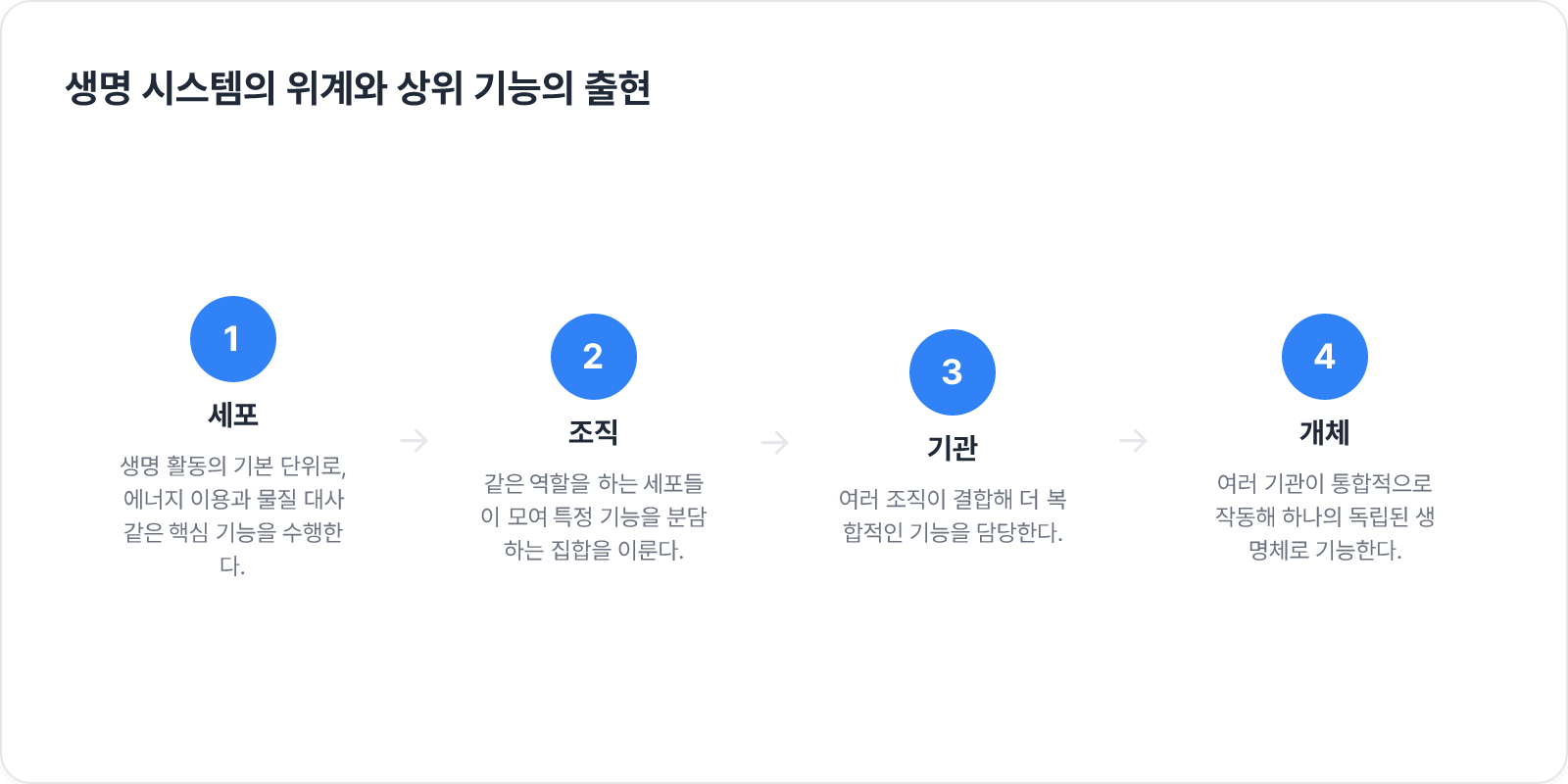 생명 시스템의 위계와 상위 기능의 출현