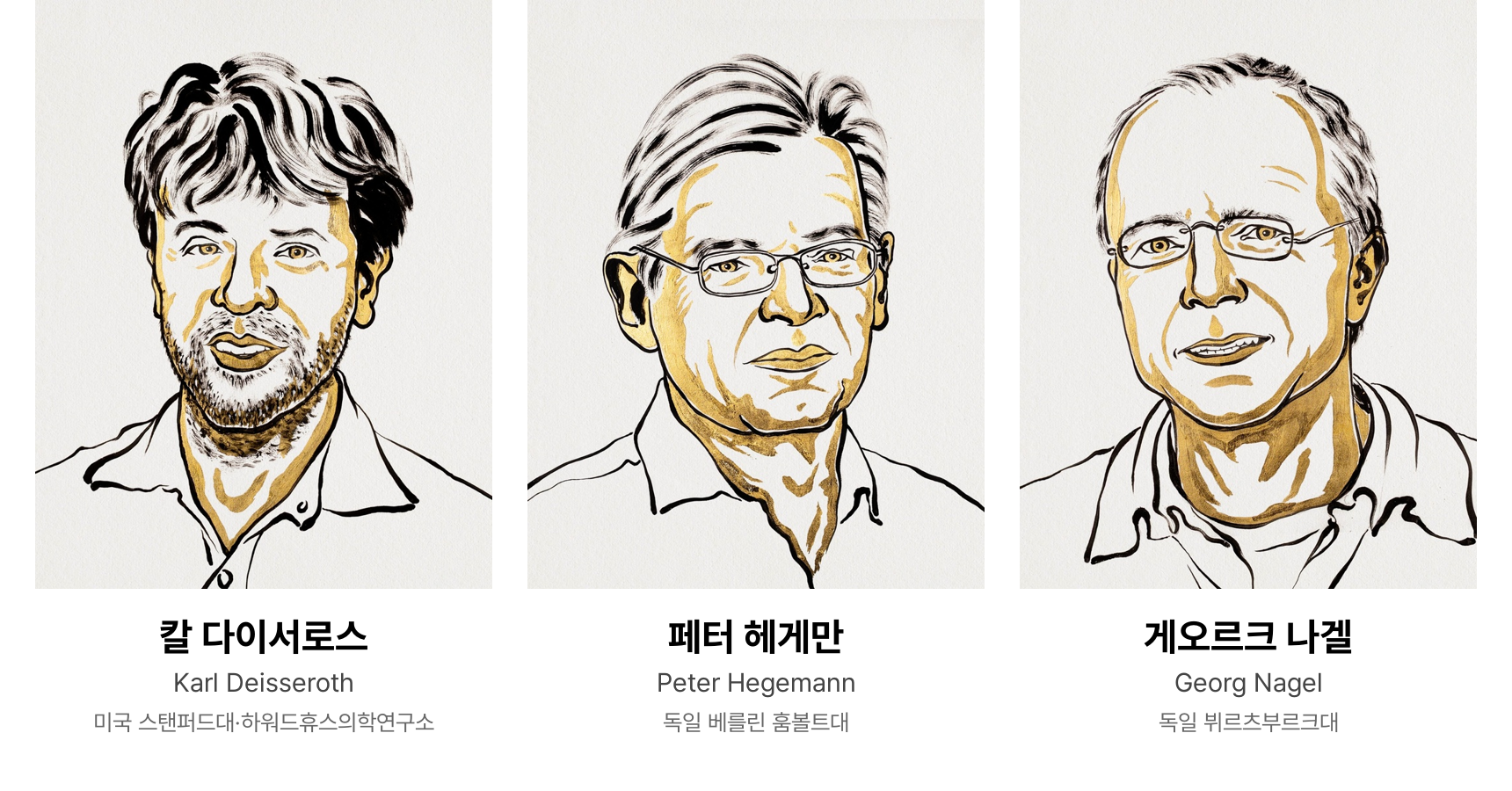 2026년 노벨 생리의학상 수상자 칼 다이서로스, 페터 헤게만, 게오르크 나겔의 초상