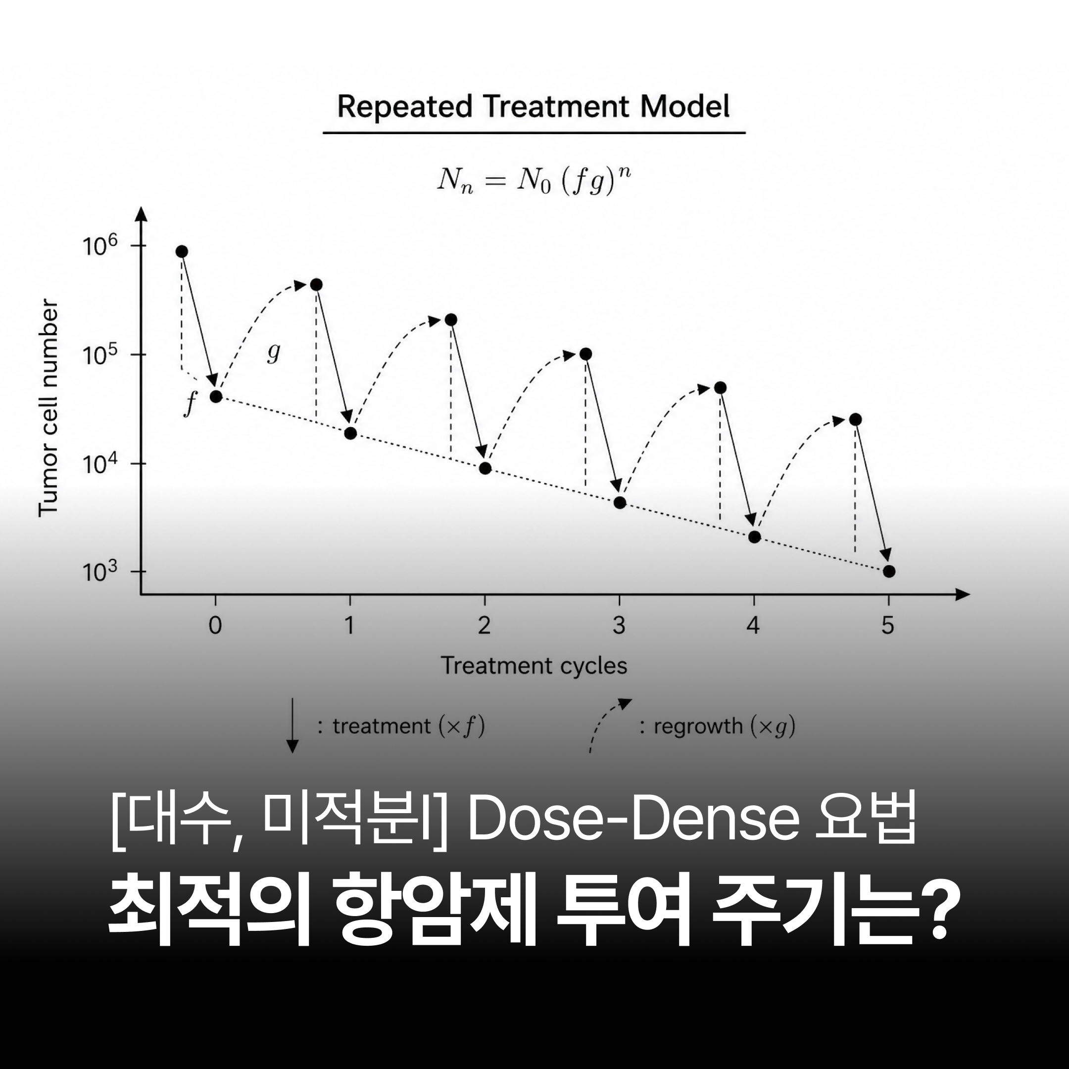 [대수, 미적분I] 종양 성장 모델과 Dose-Dense 항암 요법 : 최적의 항암제 투여 주기는?