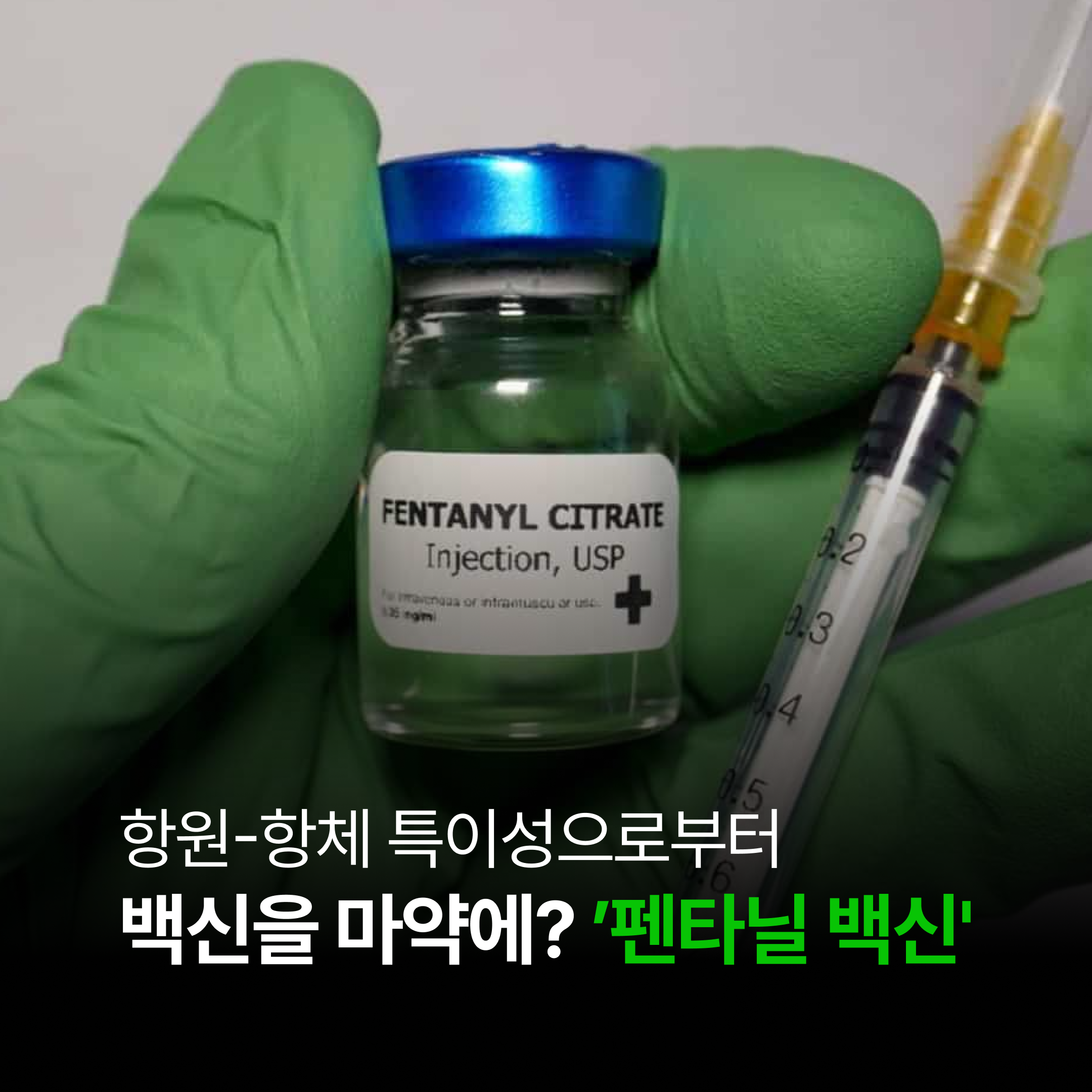 [생명과학] 항원-항체 특이성과 펜타닐 백신 (2026년 6월)