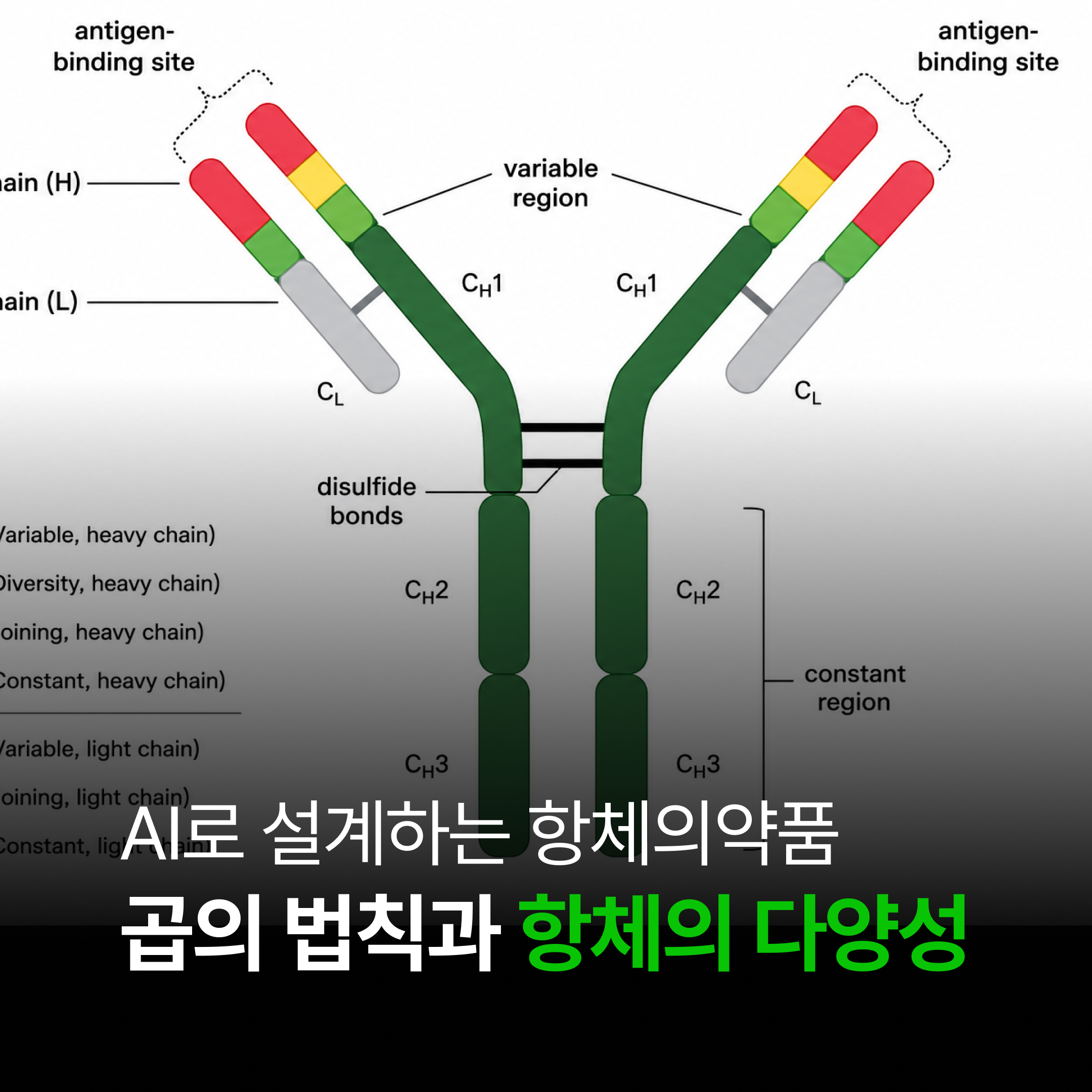 [공통수학1] 경우의 수와 항체의 수 : AI로 설계하는 항체의약품