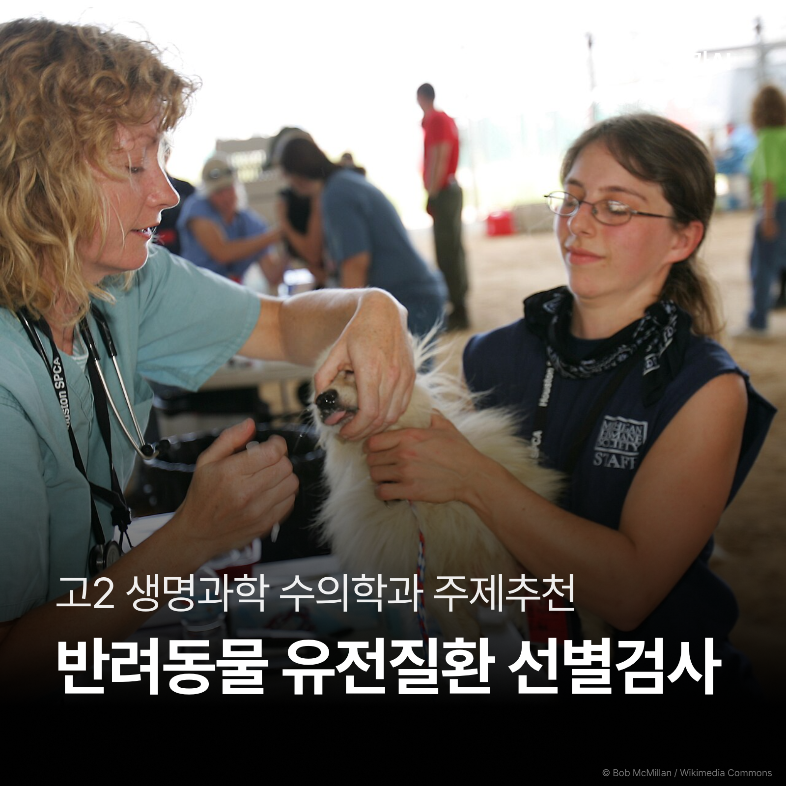 생물정보학으로 반려동물 유전질환 선별검사의 범위와 한계 살펴보기